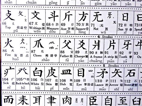 VINTAGE POSTER CHINESE RADICALS 214 INDEX CHARACTERS OF THE KANG HSI DICTIONARY | eBay