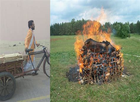 National NGO Federation - Home