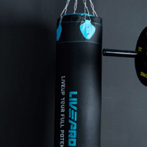 Livepro Hanging Punching Bag Singapore | Premium Boxing Bag for Home Gym