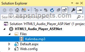 Image result for HTML Audio Player .Net