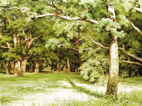 Forest Tree 的图像结果