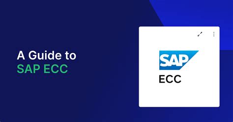 Image result for SAP ECC Support