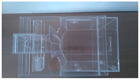 Improved Behavioral Box and Sensing Techniques for Analysis of Tactile ...