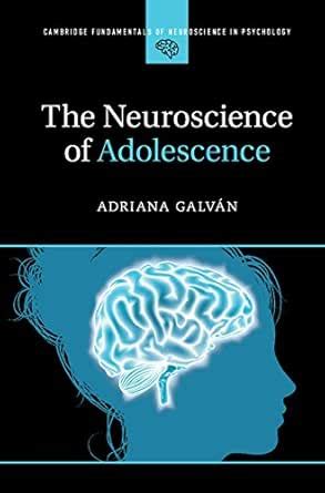 The Neuroscience of Adolescence (Cambridge Fundamentals of Neuroscience ...