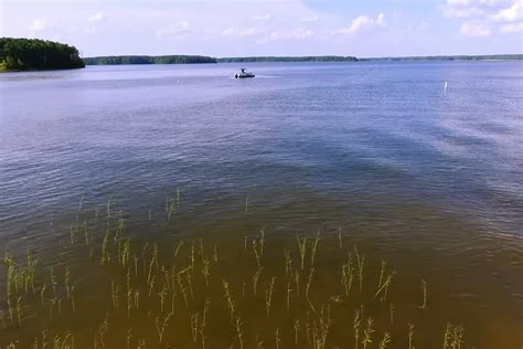 Jordan Lake Swimming Guide: Best Beaches and More - Lake Access