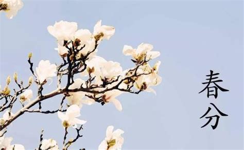 二十四节气之春分：有哪些特点和风俗 - 知乎