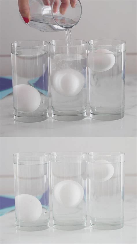 The Floating Egg | Water science experiments, Floating eggs, Science ...