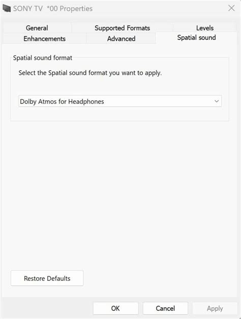 Spatial Sound Format Settings 的图像结果