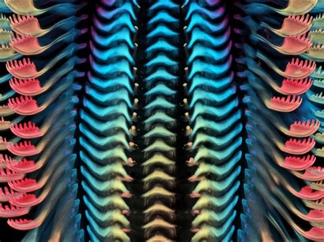 Small Wonders! 15 Of The Most Beautiful Photos From This Year's ...