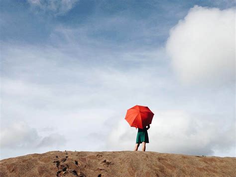 Focal Point Photography, Focal Point - Connor Barth Photography, Focal ...