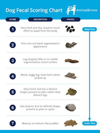 Image result for Python Full-Stack Developer Fresher Resume