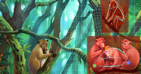 Deep Learning Model Animal Behvaior 的图像结果