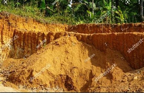 define red and yellow soil with picture - Brainly.in