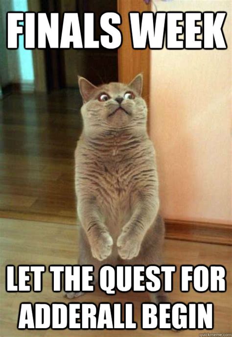 Final Week Algorithm Meme 的图像结果