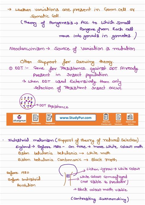 Image result for Class 12 Evolution