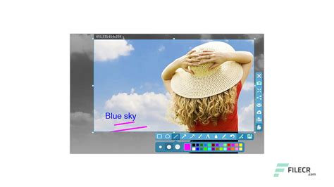 Image result for Apowersoft Free Screen Capture