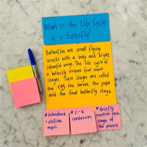 Image result for Explanation Examples