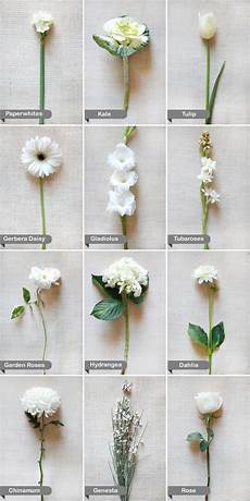 Names Of White Flowers For Wedding by White Flowers By Name Flowers Winter Names Of White Flowers For Wedding