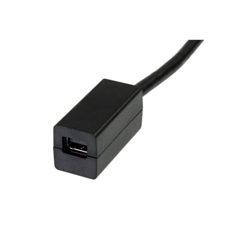 DP2MDPMF6IN StarTech.com | StarTech.com Male DisplayPort to Female Mini ...