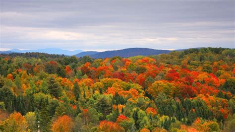 Fall Vacation Ideas: Plan Your Trip to Vermont