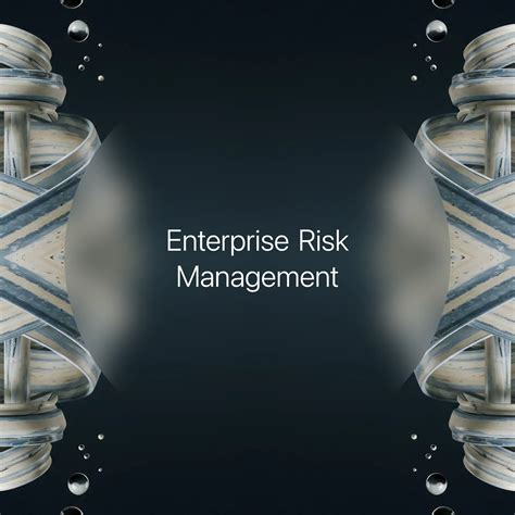 Enterprise Risk Management → Term