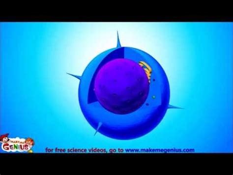 Image result for Cell Structure Animation