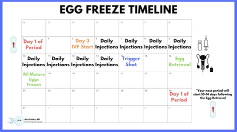 Frozen Embryo Cycle Timeline at Dollie Guth blog