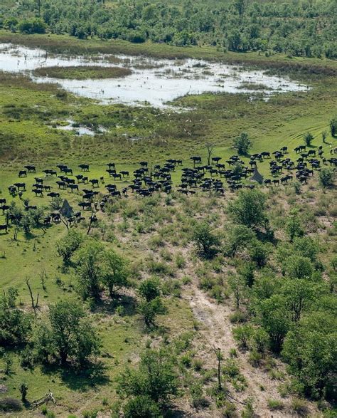 SITATUNGA CAMPSITE MAUN - Campground Reviews & Photos - Tripadvisor