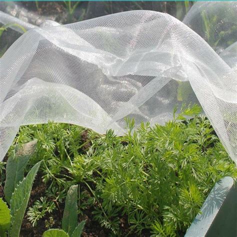 Garden Insect Mesh Netting | Fasci Garden