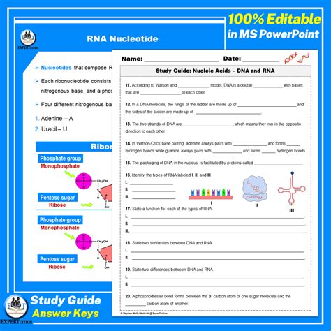 Nucleic Acids: DNA and RNA Notes and Study Guide - ExperTuition