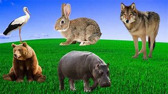 Image result for Wolf and Rabbit Menu