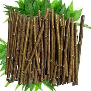 Buy Neem Datun Organic Ayurvedic Sticks for Natural Teeth Cleaning ...