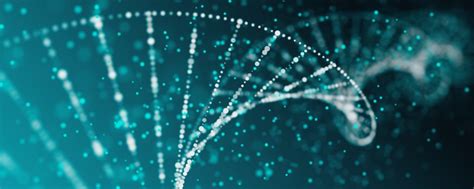 Image result for Multiplex PCR Primer Design