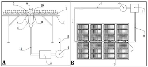 Ebb-and-Flow Subirrigation Improves Seedling Growth and Root Morphology ...