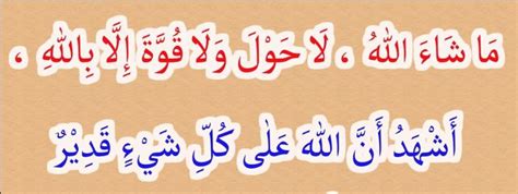 Image result for New Step Tech