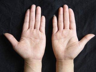 Image result for Relationship Programmer Computer Programming Languages