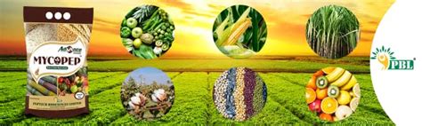 TITAN AGRITECH Myco-Pep biofertilisers for agriculture | Increase soil ...
