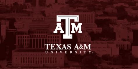 Final Examinations - Fall 2024 / Academic Calendar / Texas A&M ...