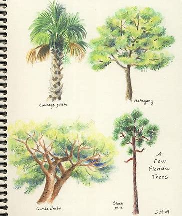 tutorial how to draw a very easy and simple colorful landscape pencil shading