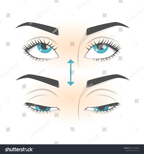 Cartoon Eyes Looking Down