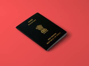 Prime Decoder news: Read Prime Decoder exclusive content. Prime Decoder ...