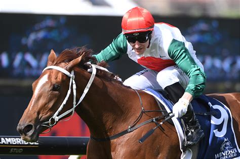 Bendigo (Australia) Racecourse | Thoroughbred | Races Today | Racing and Sports