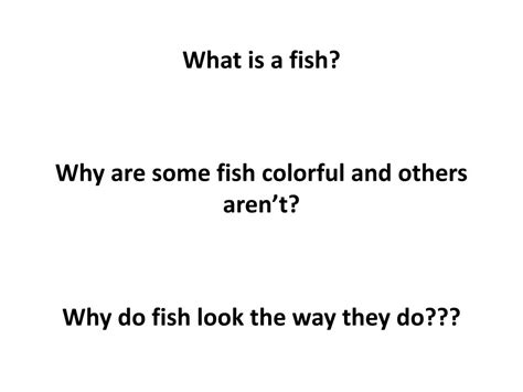 Image result for How Do Fish Perform 7 Function