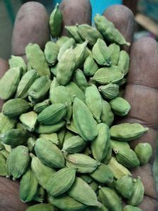 Green Cardamom Pods Manufacturer and Supplier from Theni India | Green ...