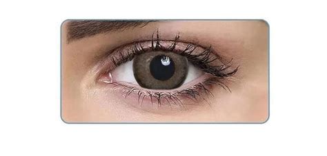 AquaColor Spicy Grey Candy Pack - 0 PowerDailies (2 Lens/Box) : Amazon ...