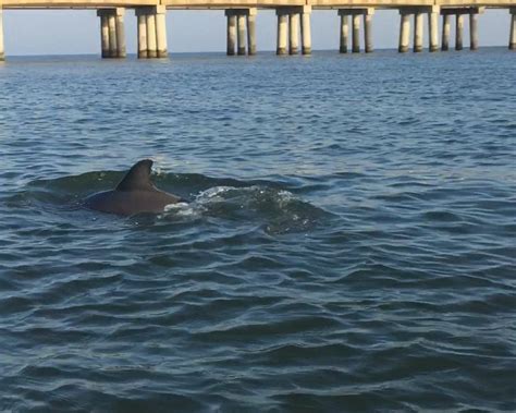 EBBING TIDES - All You Need to Know BEFORE You Go 2026 (with Photos ...