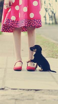 Wallpaper Girly by Girly Wallpapers For Laptop 64 Images Wallpaper Girly