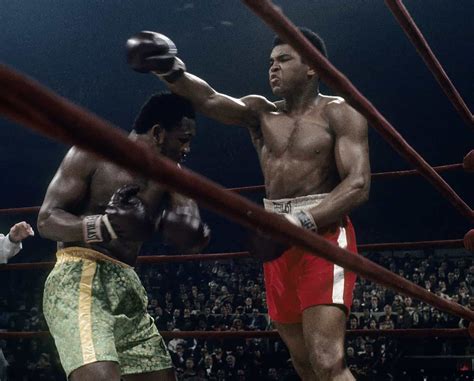 Image result for Recent Boxing Matches