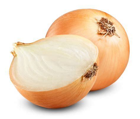 Cebolla en AJOS F. VIRTO CELORRIO, S.L. de España - ppfam.com