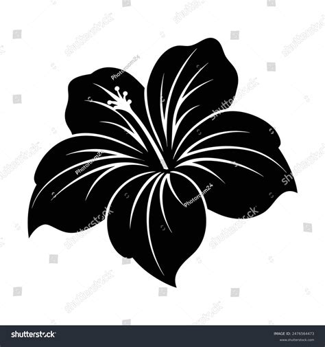 Hibiscus Flower Silhouette